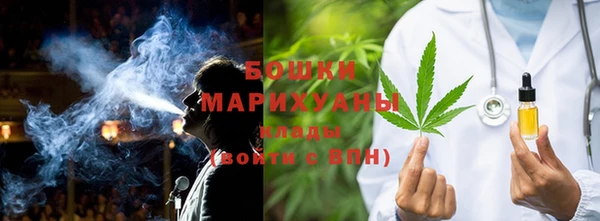 apvp Бородино