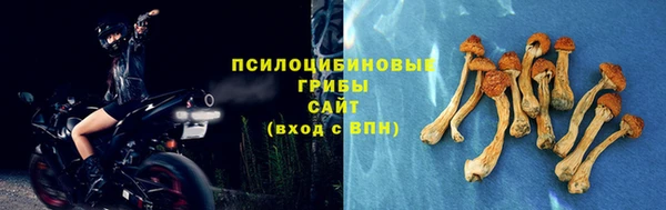 apvp Бородино