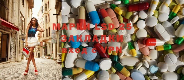 apvp Бородино