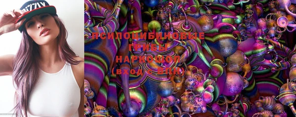 ПСИЛОЦИБИНОВЫЕ ГРИБЫ Бронницы
