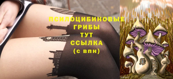 ПСИЛОЦИБИНОВЫЕ ГРИБЫ Бронницы