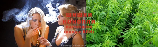 гидропоника Бугульма
