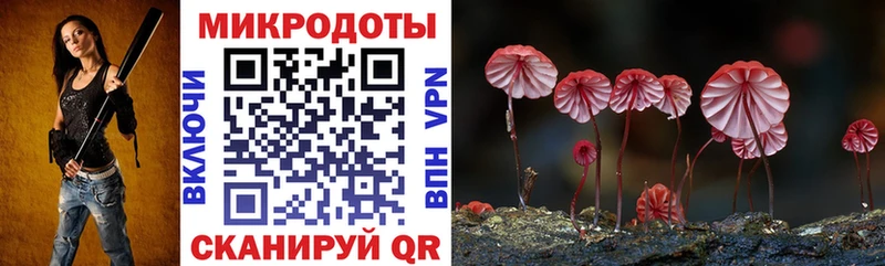 Галлюциногенные грибы мицелий  маркетплейс как зайти  Медвежьегорск 